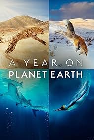 A Year on Planet Earth (2022)