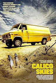 Calico Skies (2018)