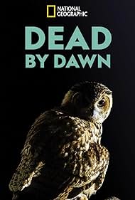 Dead by Dawn (2019)