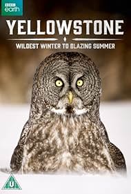 Yellowstone: Wildest Winter to Blazing Summer (2017)